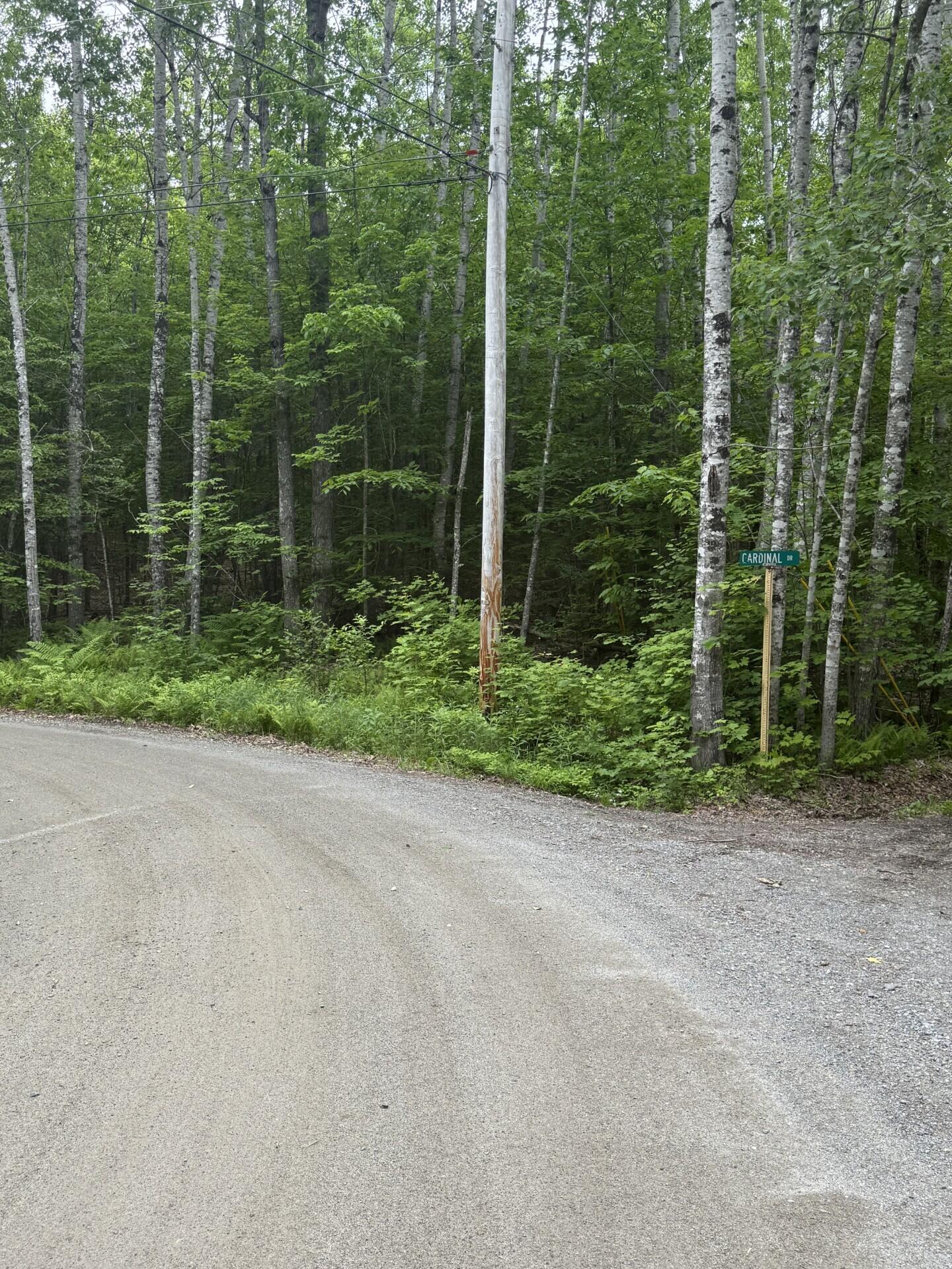 47-025 Cardinal Drive Embden, ME 04958 - Photo 32 of 55 10