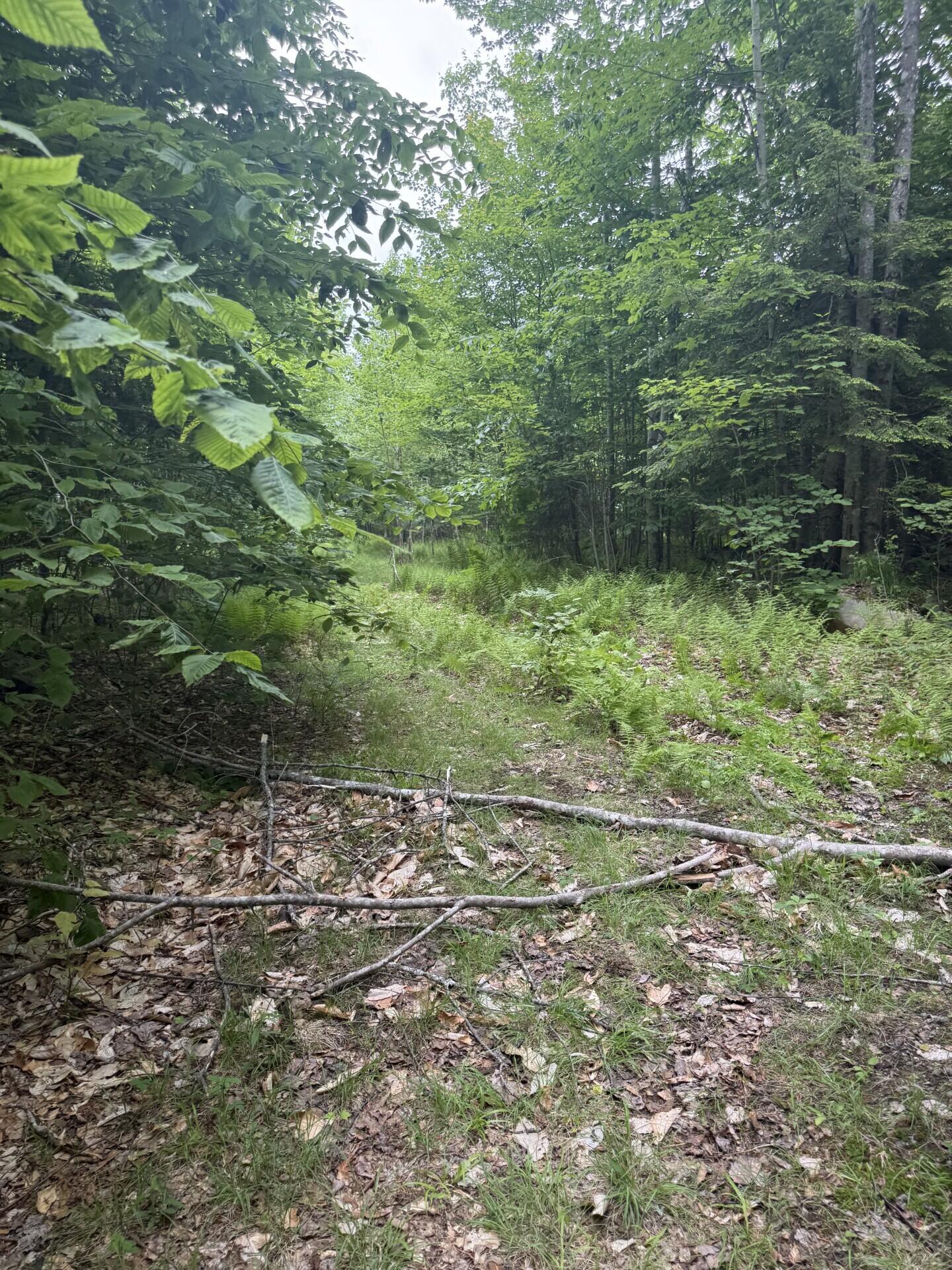 47-025 Cardinal Drive Embden, ME 04958 - Photo 33 of 55 11