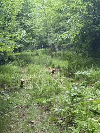 $350,000 | 47-025 Cardinal Drive, Embden, ME 04958