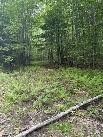 $350,000 | 47-025 Cardinal Drive, Embden, ME 04958