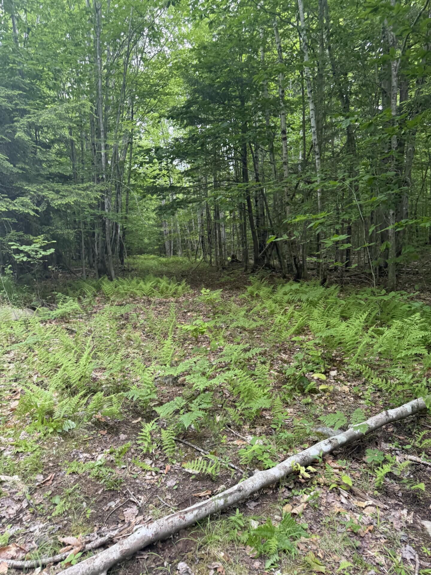 47-025 Cardinal Drive Embden, ME 04958 - Photo 35 of 55 13