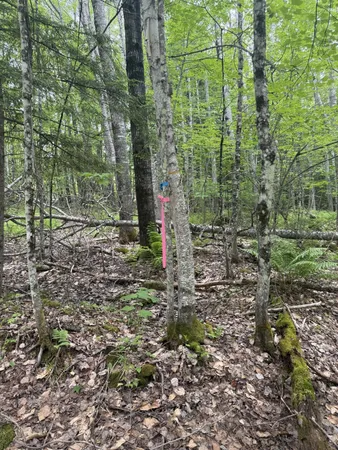 $350,000 | 47-025 Cardinal Drive, Embden, ME 04958