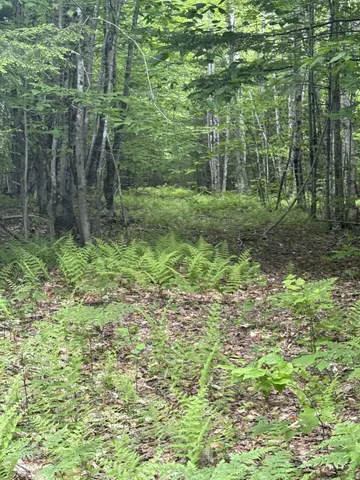 $350,000 | 47-025 Cardinal Drive, Embden, ME 04958