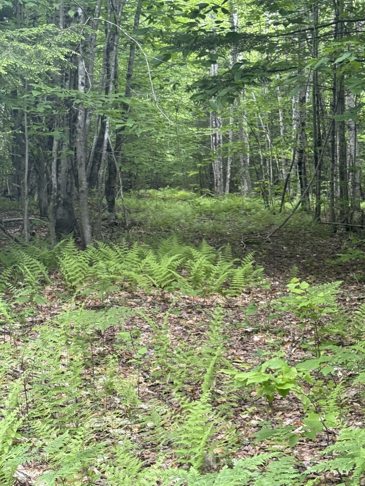 47-025 Cardinal Drive Embden, ME 04958 - Photo 37 of 55 15