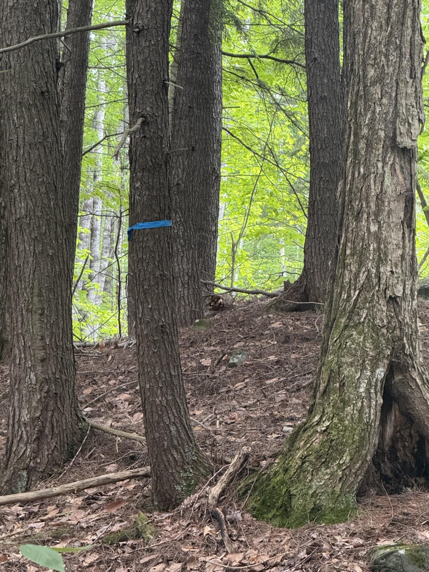 47-025 Cardinal Drive Embden, ME 04958 - Photo 40 of 55 18