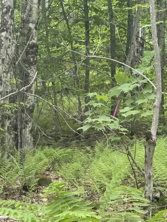 $350,000 | 47-025 Cardinal Drive, Embden, ME 04958