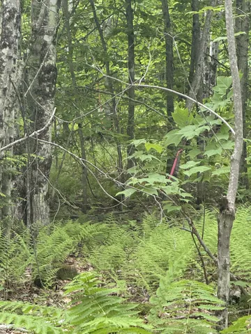 $350,000 | 47-025 Cardinal Drive, Embden, ME 04958