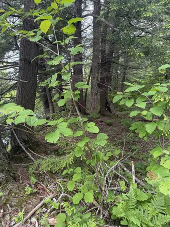 $350,000 | 47-025 Cardinal Drive, Embden, ME 04958