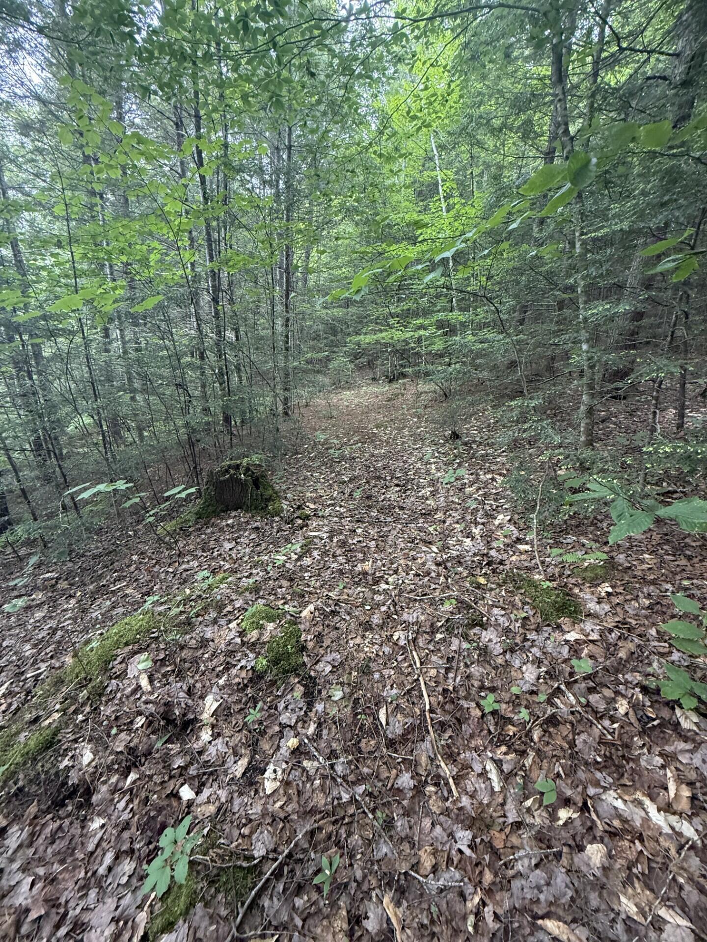 47-025 Cardinal Drive Embden, ME 04958 - Photo 44 of 55 29