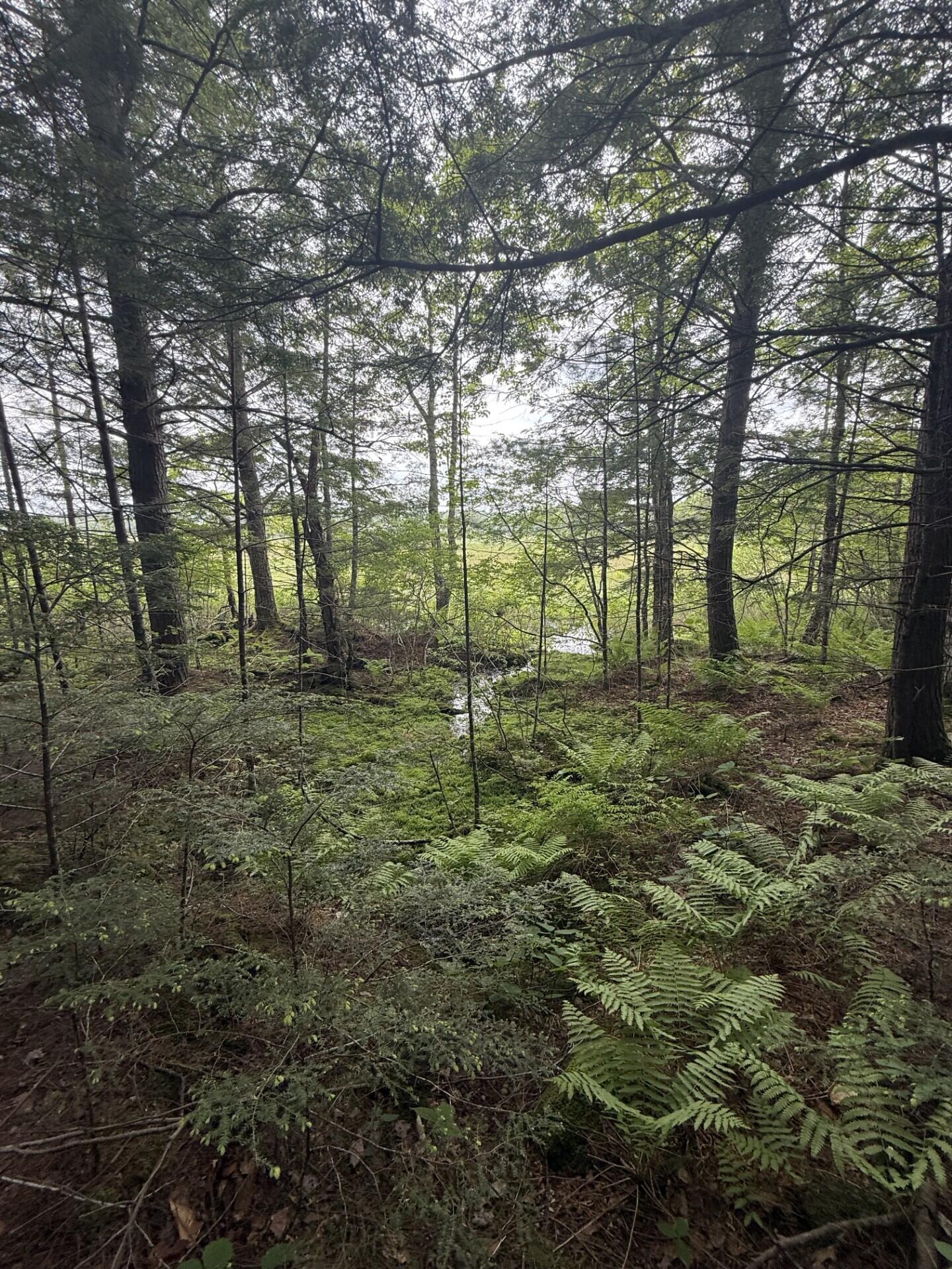 47-025 Cardinal Drive Embden, ME 04958 - Photo 45 of 55 31