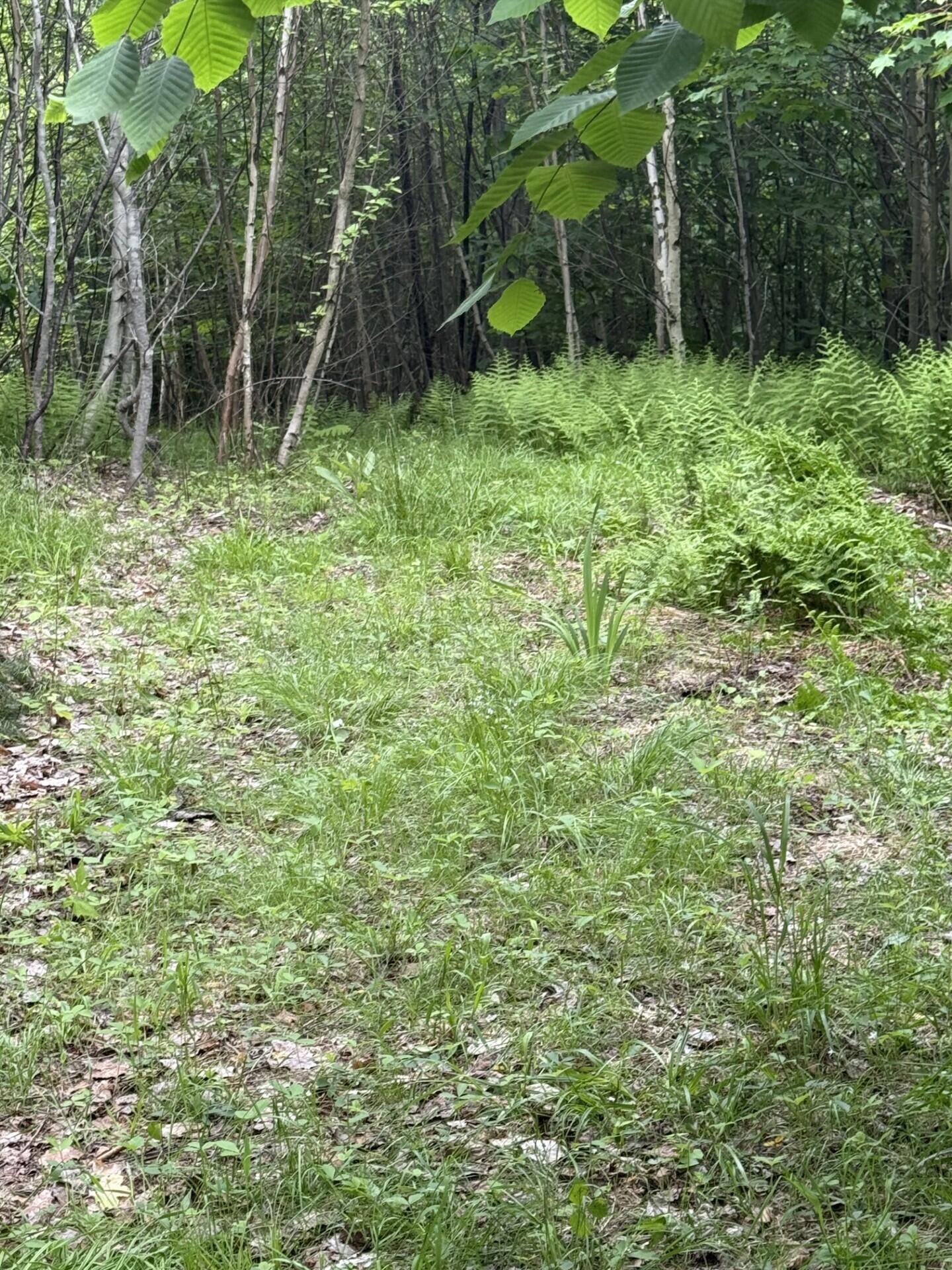 47-025 Cardinal Drive Embden, ME 04958 - Photo 48 of 55 33