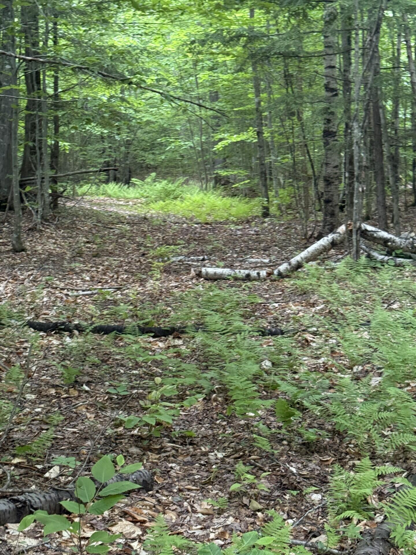 47-025 Cardinal Drive Embden, ME 04958 - Photo 51 of 55 36