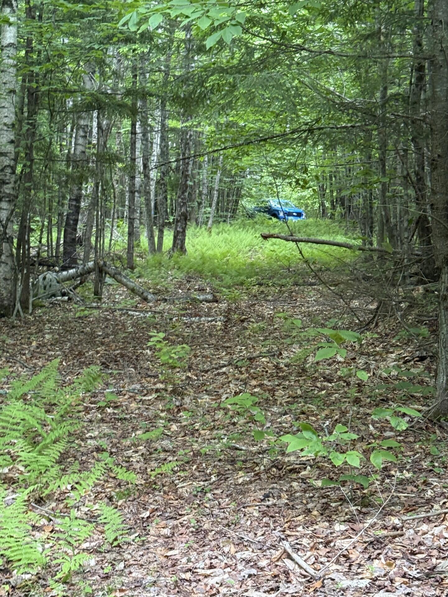 47-025 Cardinal Drive Embden, ME 04958 - Photo 55 of 55 40