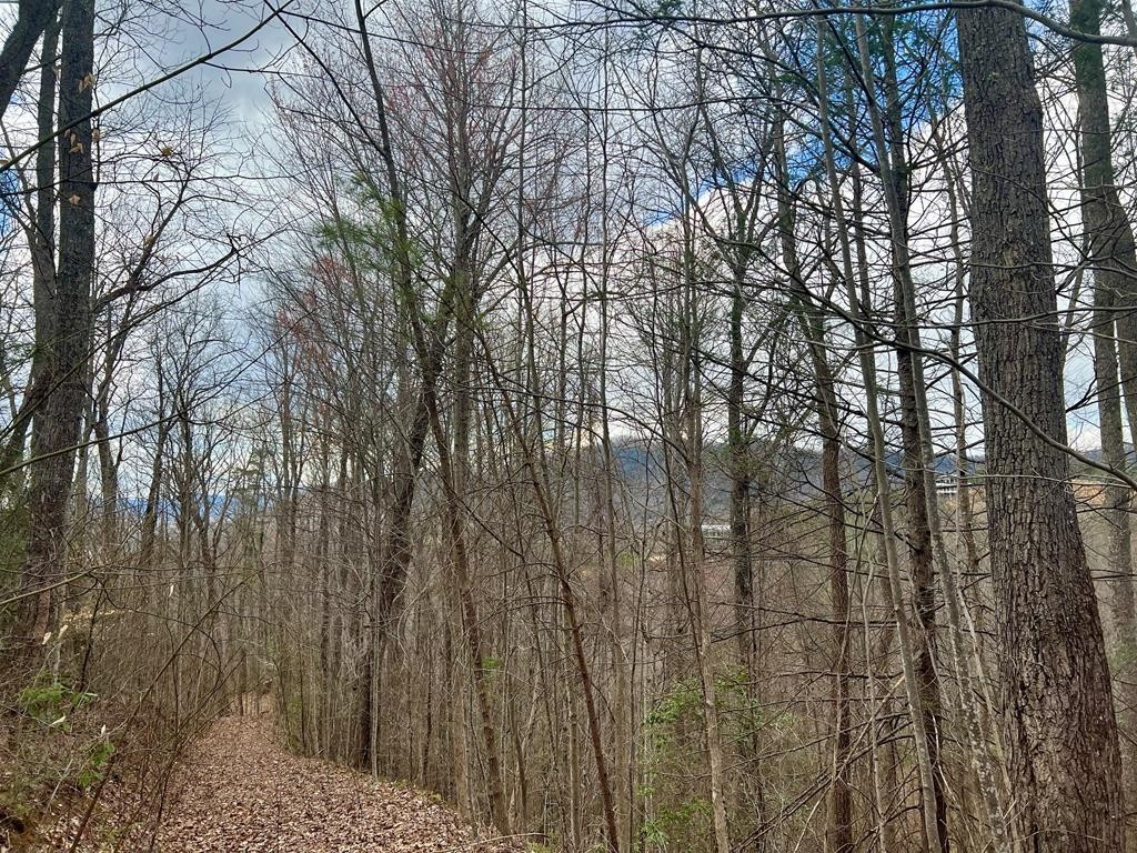 28 Sonshine Ridge Road Cosby, TN 37722 - Photo 20 of 21 Gallery Image 20