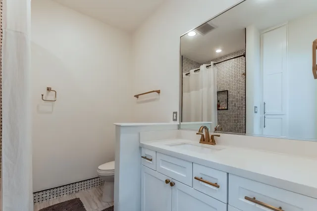 a bathroom with a sink a toilet and shower