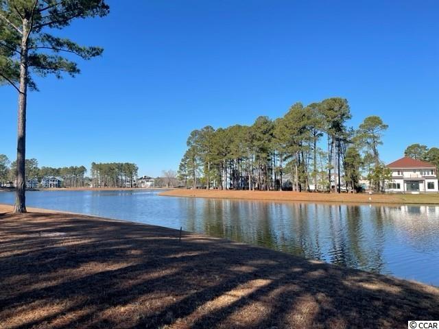 939 Fiddlehead Way Myrtle Beach, SC 29579 - Photo 2 of 24 Gallery Image 2