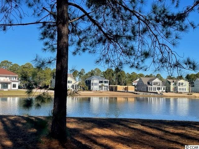 939 Fiddlehead Way Myrtle Beach, SC 29579 - Photo 3 of 24 Gallery Image 3