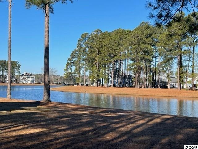 939 Fiddlehead Way Myrtle Beach, SC 29579 - Photo 4 of 24 Gallery Image 4