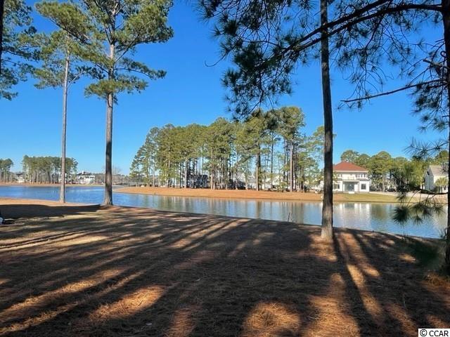 939 Fiddlehead Way Myrtle Beach, SC 29579 - Photo 5 of 24 Gallery Image 5