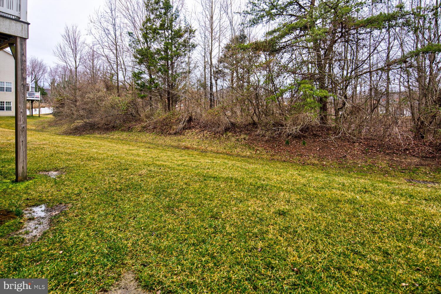 308 Wilkinson Drive Newark, DE 19702 - Photo 19 of 31
