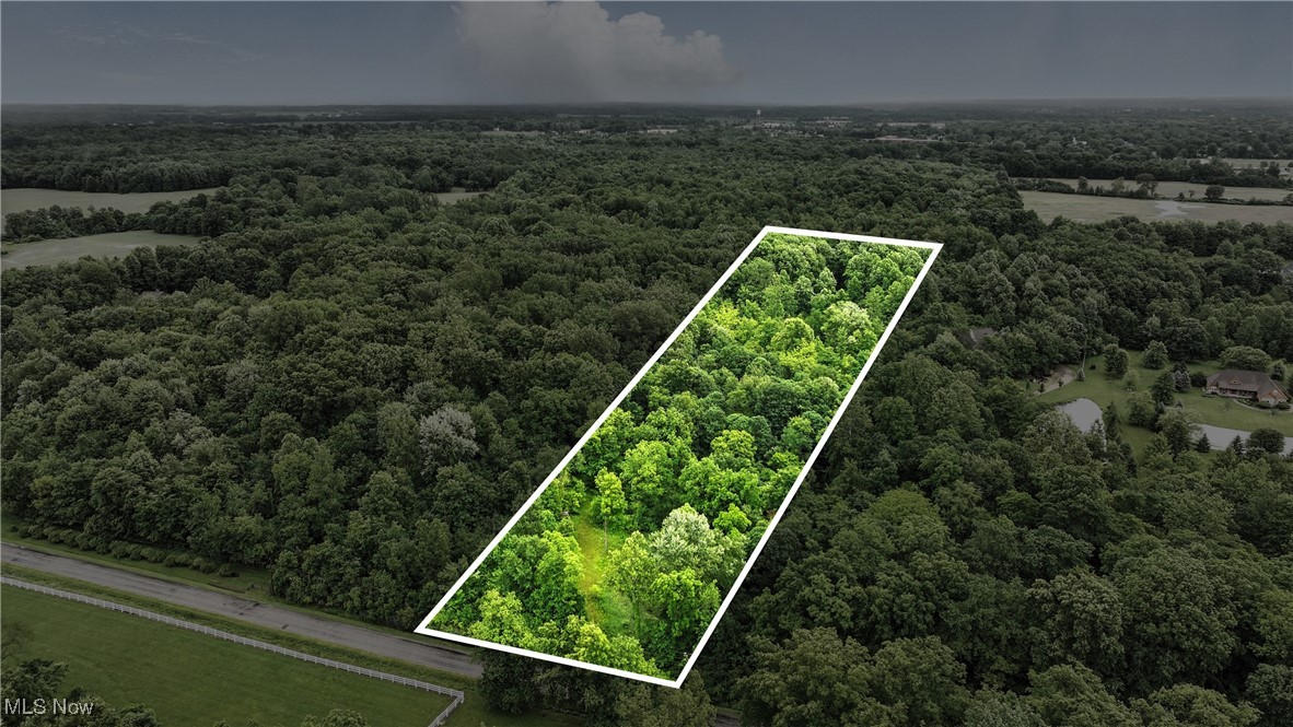 21251 Pitts Road Wellington, OH 44090 - Photo 3 of 14 Aerial view of property's location featuring a forest and property parcel outlined
