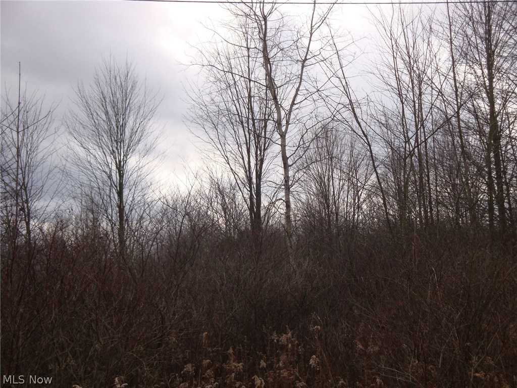 Allen Comp Road Dorset, OH 44032 - Photo 3 of 4 Gallery Image 3