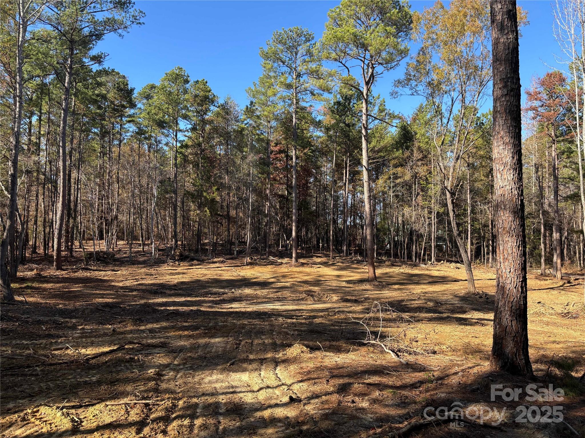 Tbd Sunnyside Drive, Unit 14 & 15 Lancaster, SC 29720 - Photo 1 of 4 a view of a yard with trees