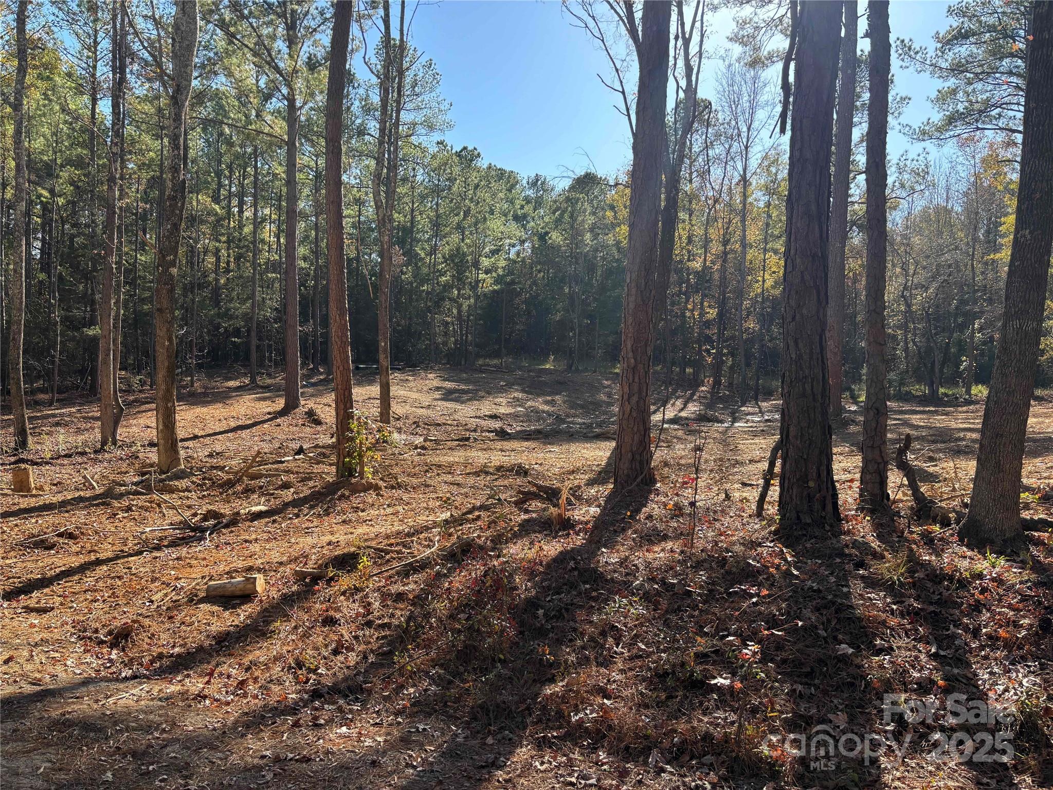 Tbd Sunnyside Drive, Unit 14 & 15 Lancaster, SC 29720 - Photo 2 of 4 a backyard of a house with lots of green space