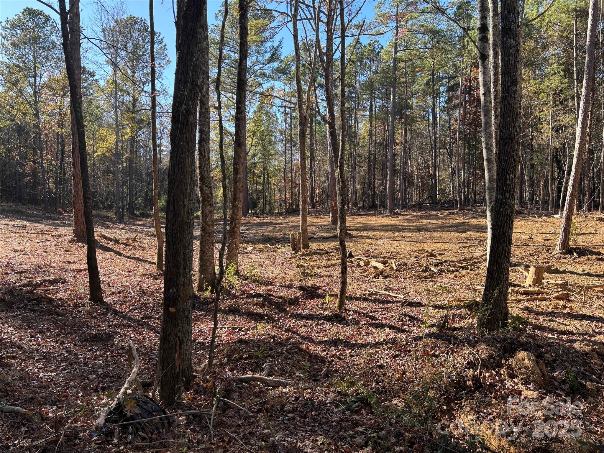 Tbd Sunnyside Drive, Unit 14 & 15 Lancaster, SC 29720 - Photo 3 of 4 a view of a yard with lots of green space
