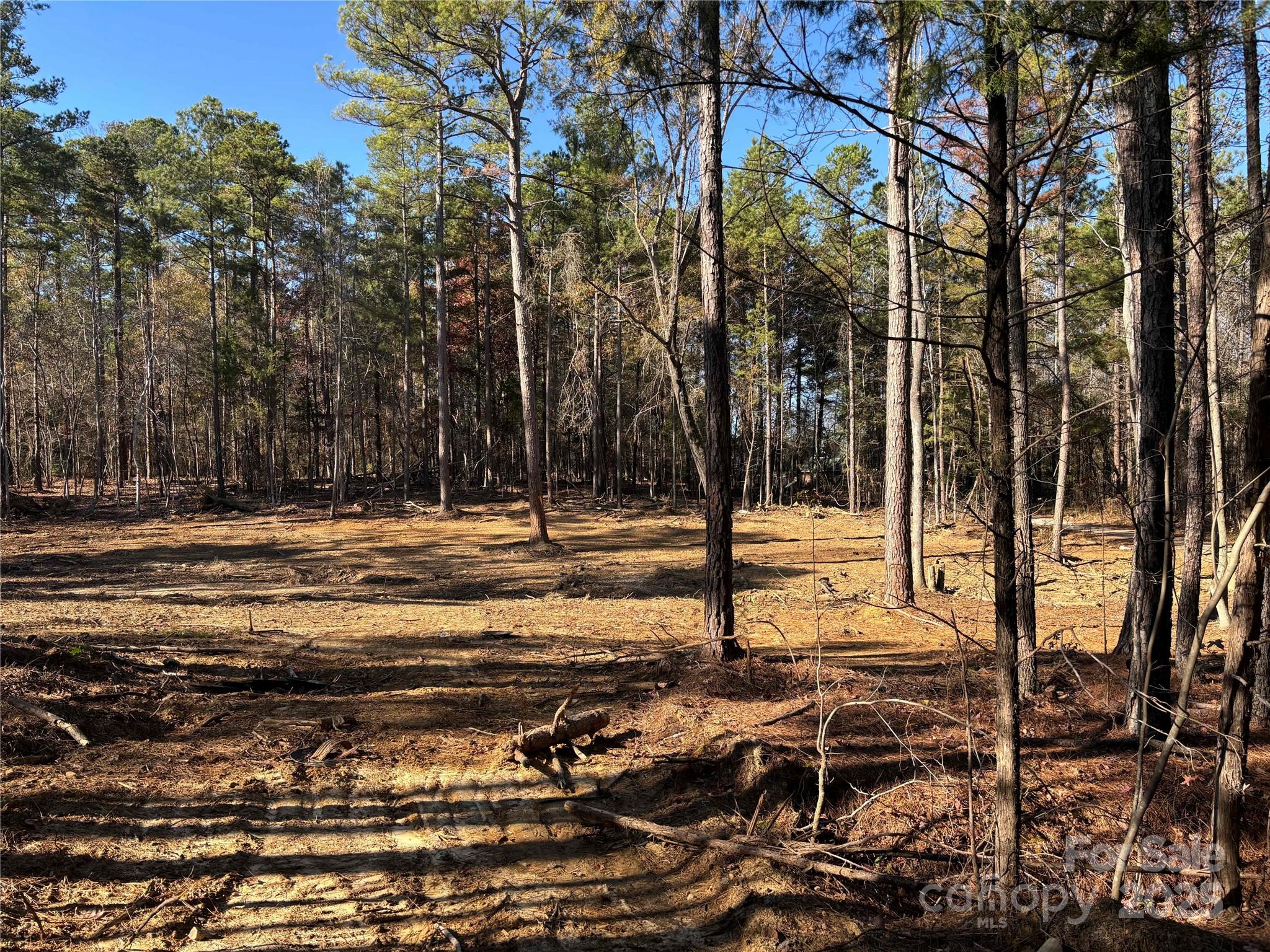 Tbd Sunnyside Drive, Unit 14 & 15 Lancaster, SC 29720 - Photo 4 of 4 a view of a yard with lots of trees