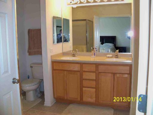 254 Cassidy Lane Elgin, IL 60124 - Photo 9 of 10 a bathroom with a sink and a toilet