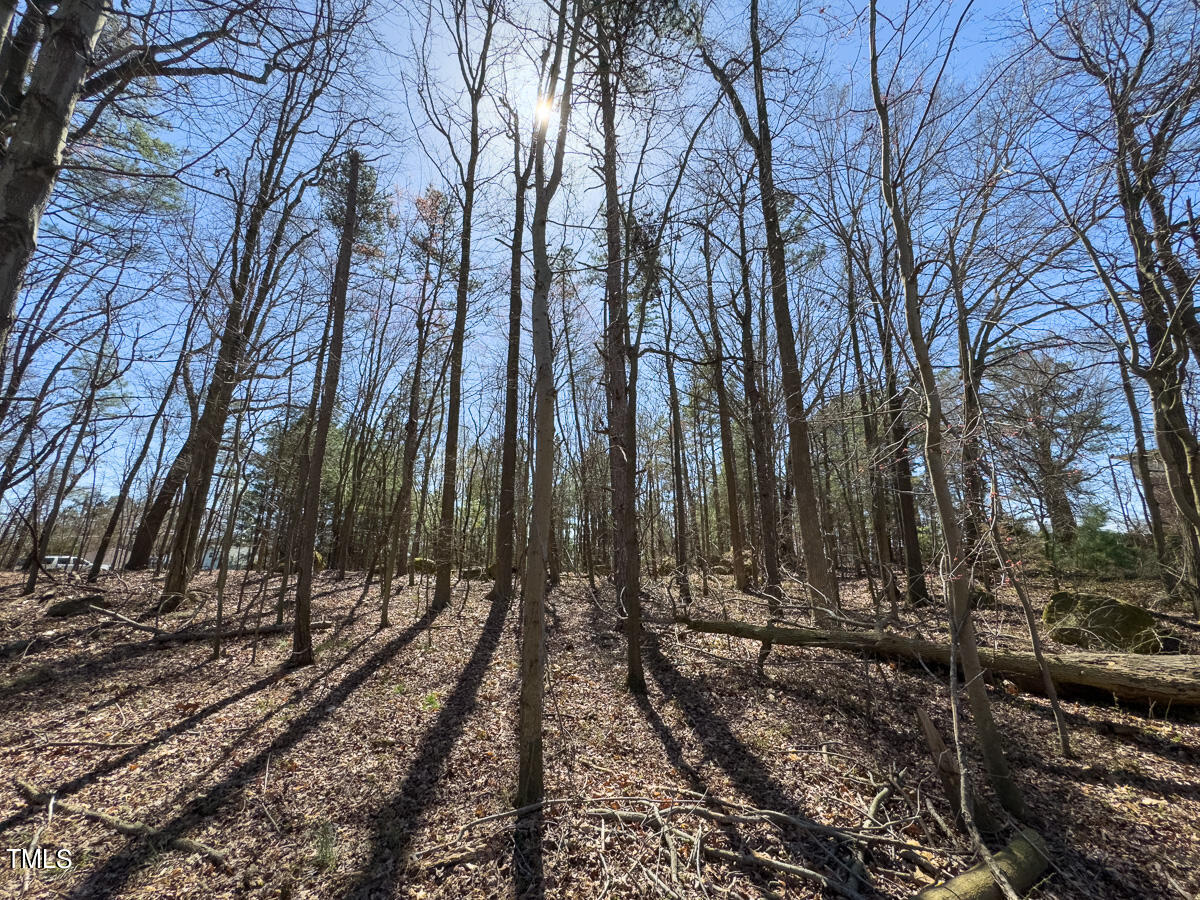 121 Old Durham Road Roxboro, NC 27573 - Photo 40 of 59 a view of a yard with trees
