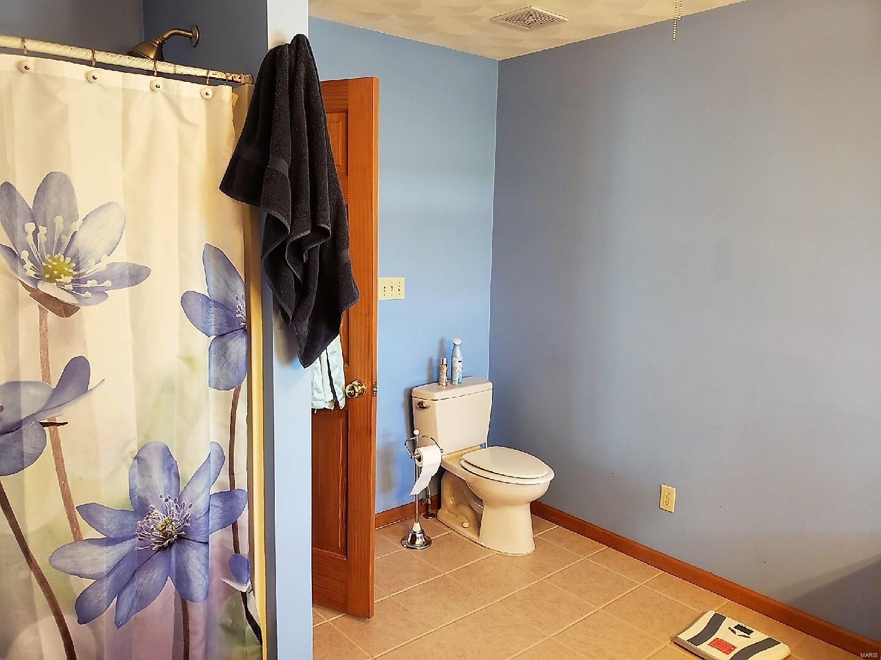 2073 Outlet Road Valmeyer, IL 62295 - Photo 76 of 84