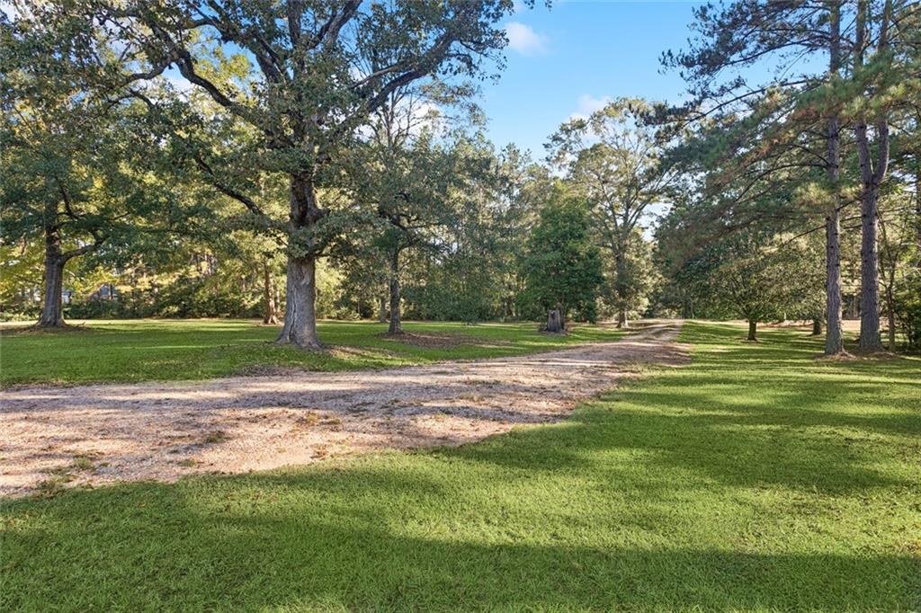 74219 Old Springcreek Road Kentwood, LA 70444 - Photo 6 of 22 Gallery Image 6
