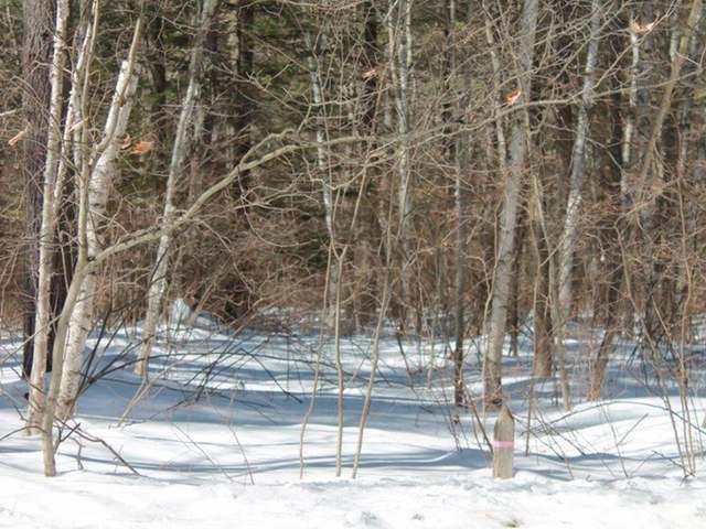 1629 Mattke Road Woodruff, WI 54568 - Photo 25 of 30 Gallery Image 25