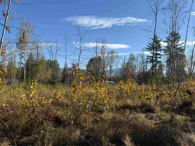 $49,000 | Lot 13 Hartco Avenue, Lancaster, NH 03584