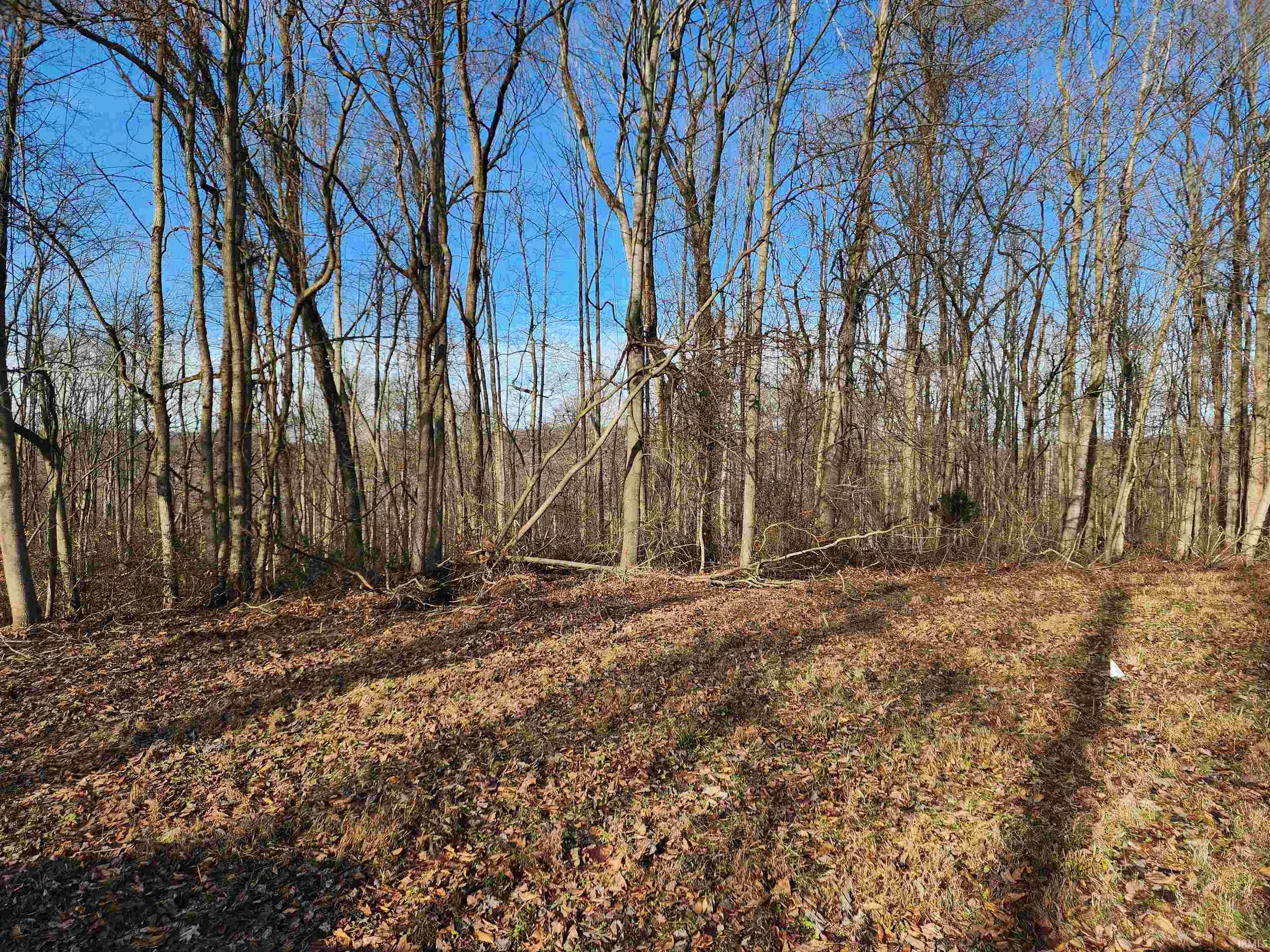 8 Lakeside Springville, IN 47462 - Photo 18 of 33