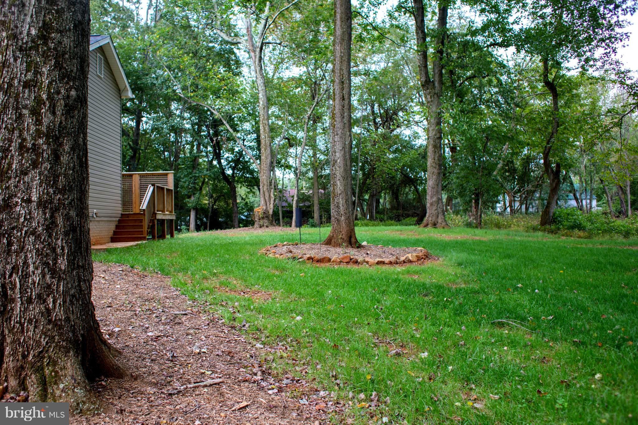 19667 Old Orange Road Culpeper, VA 22701 - Photo 4 of 20 Side Yard