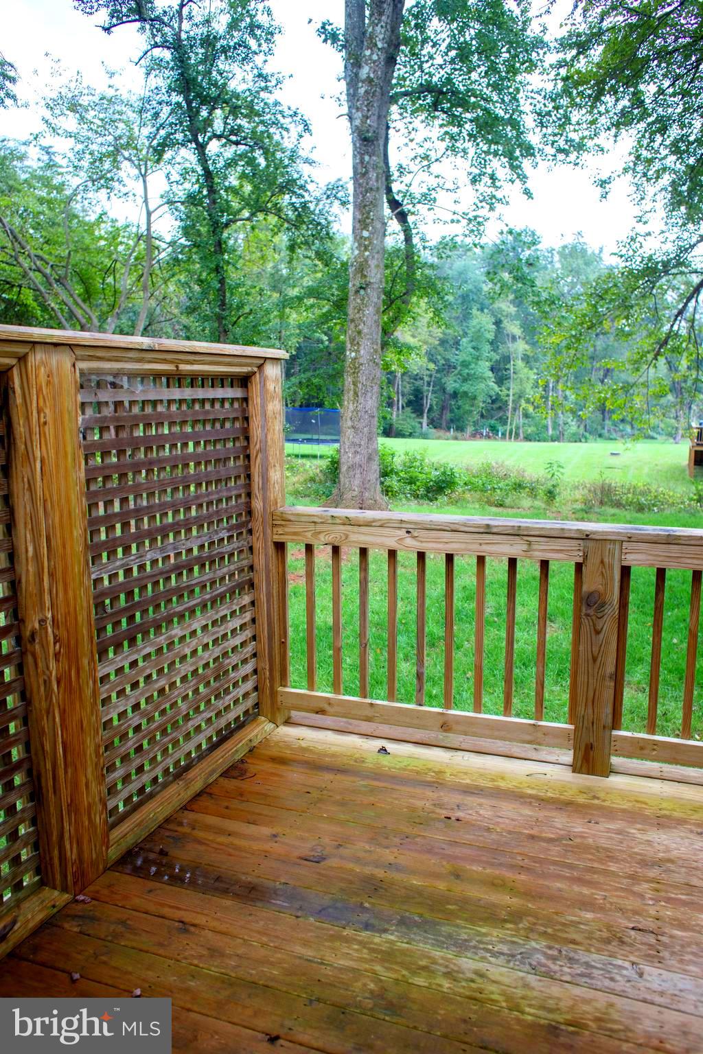 19667 Old Orange Road Culpeper, VA 22701 - Photo 6 of 20 Patio