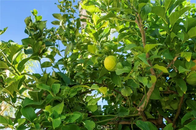 $869,800 | 11389 Padova Drive, Rancho Cucamonga, CA 91701