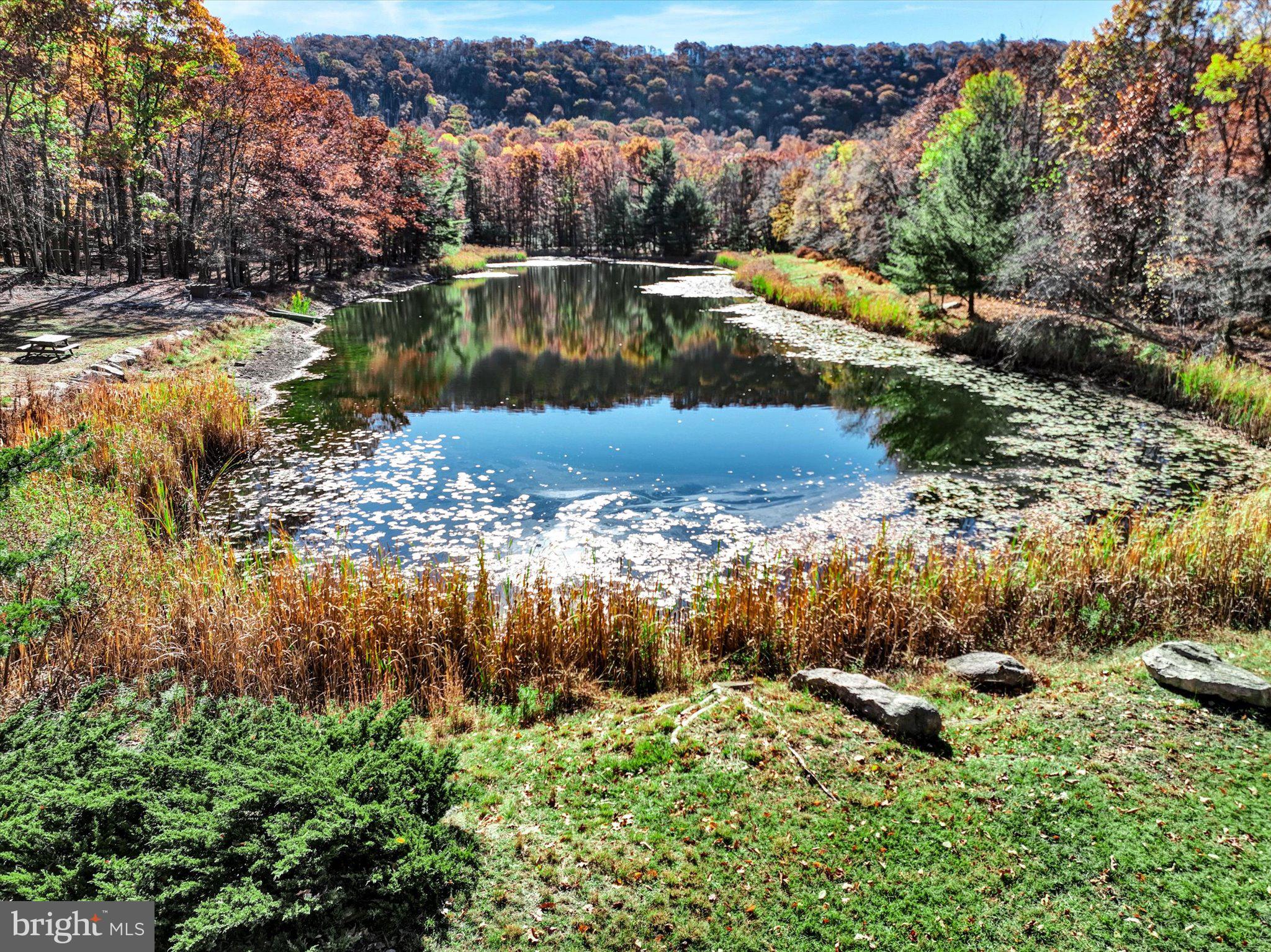 124 Spring Mountain Drive Zion Grove, PA 17985 - Photo 5 of 18 a view of a lake with a city