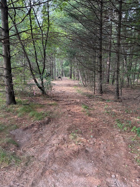 Lot 3 3/4 Street Chetek, WI 54728 - Photo 2 of 7