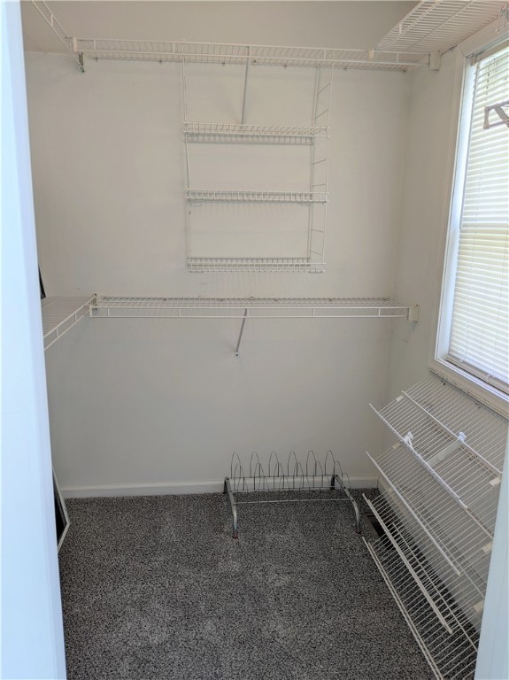 41 Hawks View Mendon, NY 14472 - Photo 24 of 46 Walk in closet