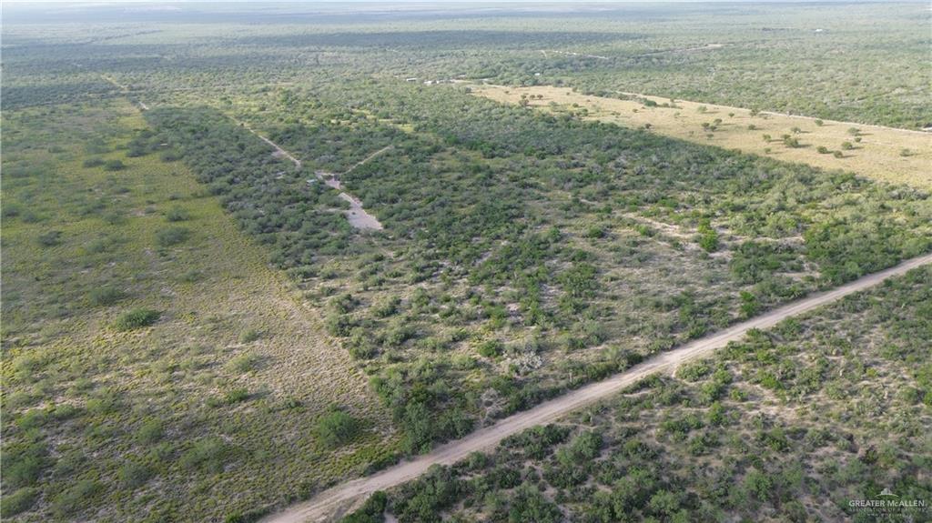 0 Alejandrenas Road Zapata, TX 78076 - Photo 4 of 6
