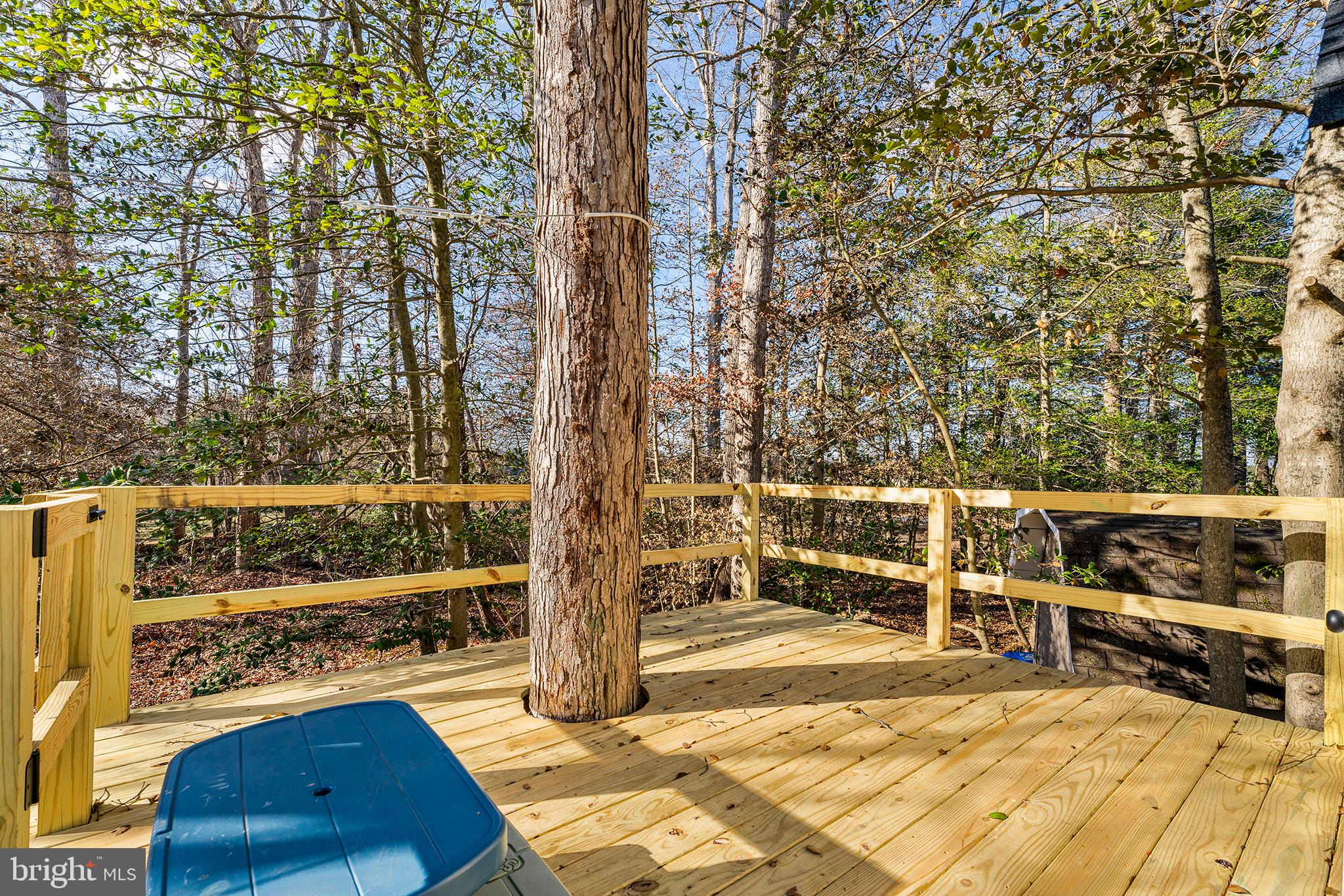 86 3 Bridge Road Shamong, NJ 08088 - Photo 29 of 32