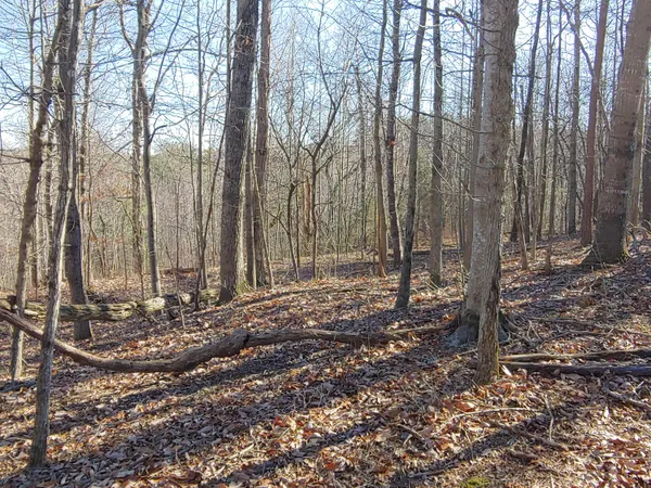 $29,000 | Lot 1 Truman Hill Road, Hardy, VA 24101