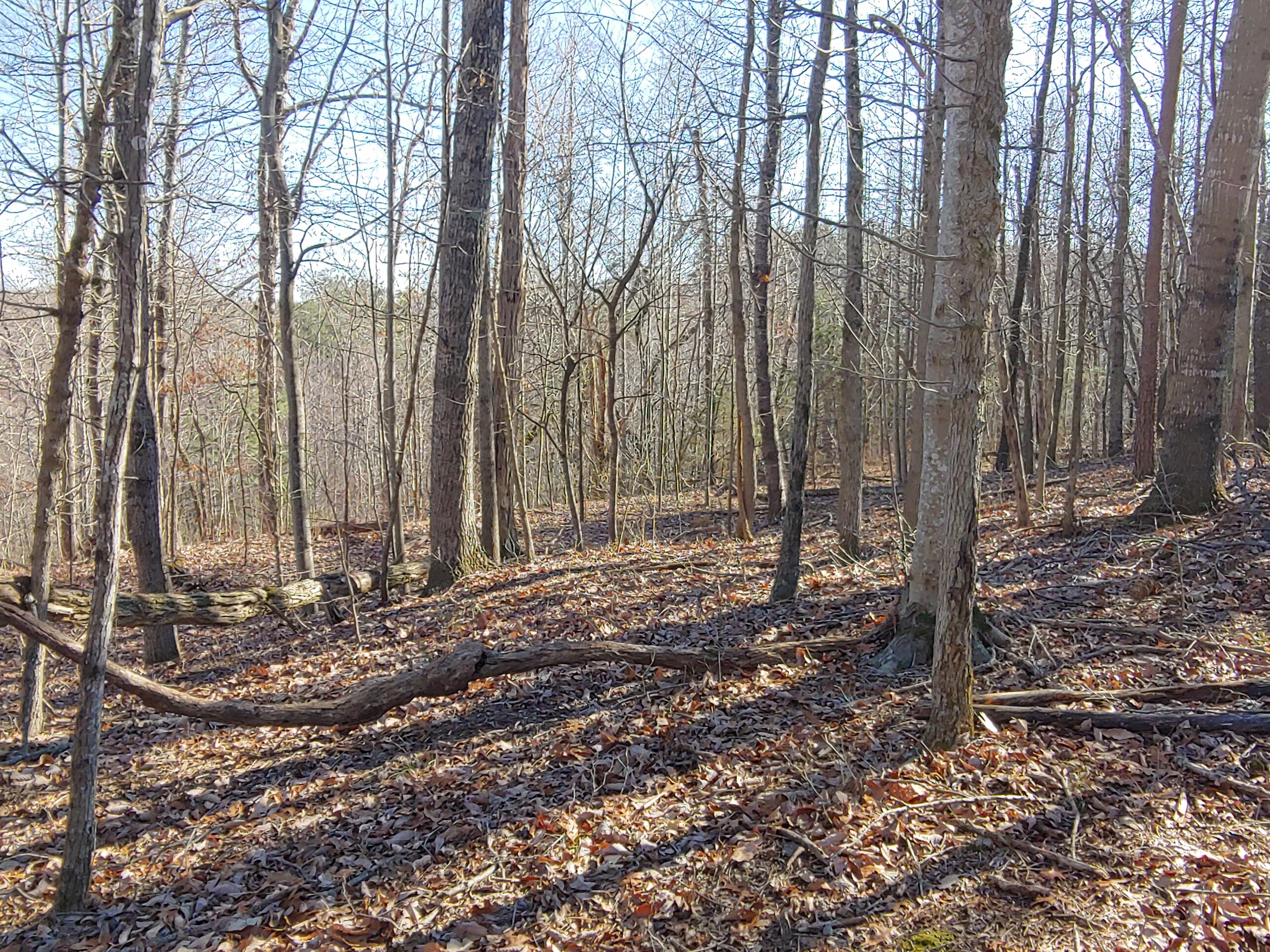 Lot 1 Truman Hill Road Hardy, VA 24101 - Photo 1 of 2 1