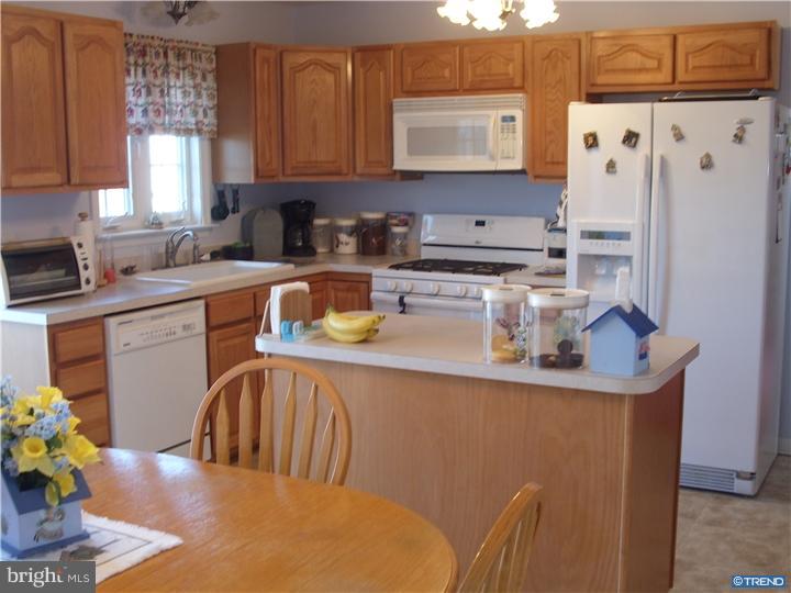 117 West Pebworth Road Magnolia, DE 19962 - Photo 10 of 21 Gallery Image 10