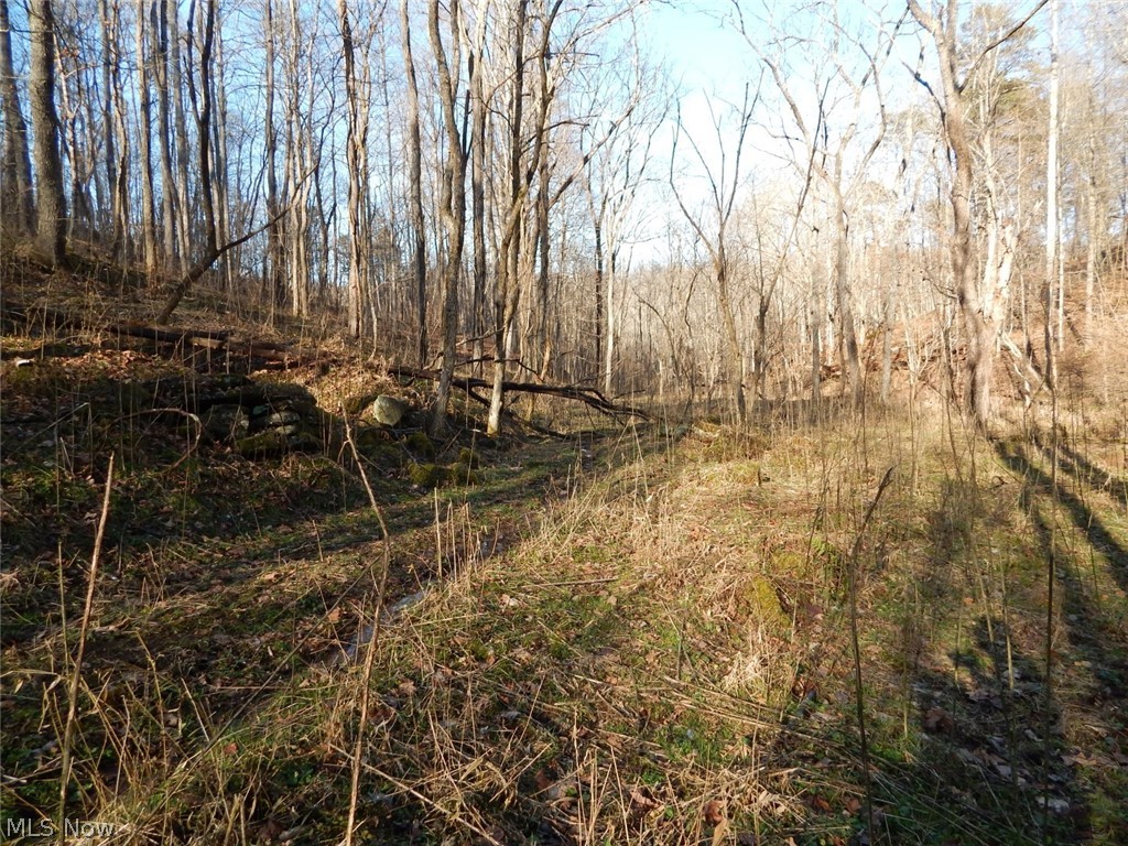 Mt Zion Road Harrisville, WV 26362 - Photo 7 of 23
