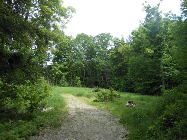 0 Barr Hill Road Huntington, MA 01050 - Photo 3 of 5 Gallery Image 3